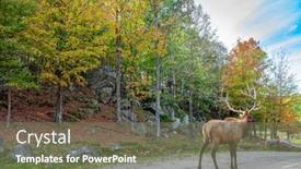  Presentation with eco park - Slide deck enhanced with wild-animals-in-the-park background and a violet colored foreground