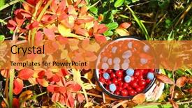  Presentation with blueberry - Slides featuring wild berries autumnal harvest background and a gold colored foreground