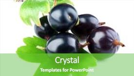  Presentation with green leaf - Cool new slides with wild black currant with green backdrop and a  colored foreground