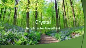  Presentation with belgium - PPT layouts with wild bluebell hyacinths and beech trees in forest 'hallerbos' belgium background and a tawny brown colored foreground