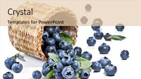  Presentation with blueberry - Presentation design having wild blueberry - blueberries fall of the basket background and a lemonade colored foreground