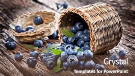  Presentation with blueberry - Audience pleasing slide set consisting of wild blueberry - blueberries have dropped backdrop and a tawny brown colored foreground