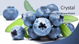  Presentation with fall leaves border white - Slide set consisting of wild blueberry - blueberries with leaves on white background and a light blue colored foreground