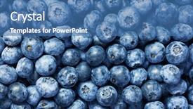  Presentation with blueberries - Theme consisting of wild blueberry - fresh blueberries background closeup background and a  colored foreground
