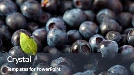  Presentation with blueberry - Audience pleasing PPT theme consisting of wild blueberry - fresh blueberries background backdrop and a ocean colored foreground