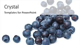  Presentation with blueberries - Presentation theme consisting of wild blueberry - fresh blueberries isolated background and a white colored foreground