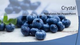 Presentation with blueberry - Audience pleasing presentation theme consisting of wild blueberry - fresh ripe blueberries backdrop and a light blue colored foreground
