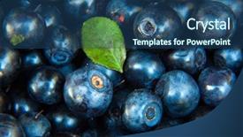  Presentation with wild west for - Colorful presentation design enhanced with wild blueberry - wild blueberries background backdrop and a ocean colored foreground