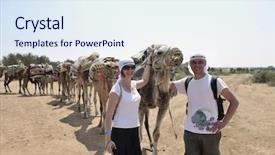  Presentation with camel - Presentation consisting of wild camel animal on tourist background and a  colored foreground