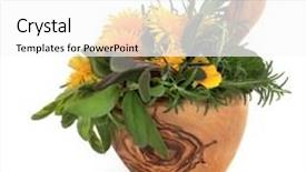  Presentation with sage - Amazing PPT theme having wild dandelion and gorse flowers with sage rosemary and lemon balm herb leaves in an olive wood mortar with pestle over white background backdrop and a white colored foreground