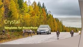 Presentation with highway - PPT theme having wild-deers-crossing-highway background and a tawny brown colored foreground