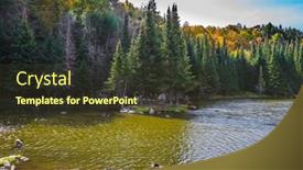  Presentation with green lake - Slide deck consisting of wild-ducks-swim-in-shallow background and a tawny brown colored foreground