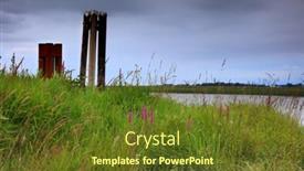  Presentation with pacific island - Presentation theme with wild flowers along pacific coast in westham island british columbia background and a tawny brown colored foreground