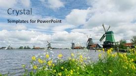  Presentation with windmills - Slides enhanced with wild flowers in front of windmills at the dutch zaanse schans background and a light blue colored foreground