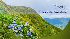  Presentation with mountain lake - Theme featuring wild-flowers-in-the-mountain background and a sky blue colored foreground