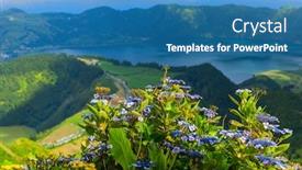  Presentation with mountain lake - Cool new theme with wild-flowers-in-the-mountain backdrop and a teal colored foreground