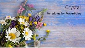  Presentation with blue mint - Beautiful PPT theme featuring wild-flowers-on-blue-wooden backdrop and a light blue colored foreground