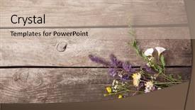  Presentation with thyme - Cool new presentation theme with wild flowers on old grunge backdrop and a soft green colored foreground