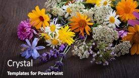  Presentation with blue mint - Theme having wild-flowers-on-old-grunge background and a dark gray colored foreground