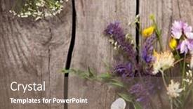  Presentation with thyme - Slide set featuring wild-flowers-on-old-grunge background and a gray colored foreground