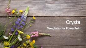  Presentation with purple grunge - Theme having wild flowers on old grunge background and a gray colored foreground