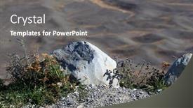  Presentation with rocks - Slide set with wild-flowers-shrubs-and-rocks background and a gray colored foreground