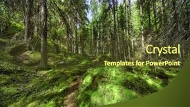  Presentation with finland - Colorful PPT theme enhanced with wild forest in finland backdrop and a tawny brown colored foreground