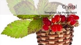  Presentation with forestry - Beautiful presentation theme featuring wild forestry stone bramble berry rubus saxatilis in wicker basket close up isolated on white background backdrop and a white colored foreground