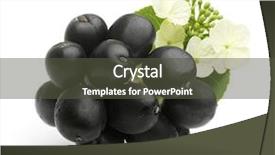  Presentation with white healthy food - Theme consisting of wild fruit - elderberry isolated on white background background and a dark gray colored foreground