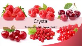  Presentation with leafy greens and berries - Beautiful presentation featuring wild fruit - red berries backdrop and a coral colored foreground