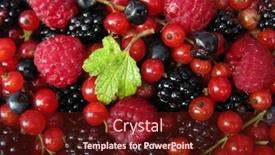  Presentation with blackberry - Presentation theme enhanced with wild-fruits-redcurrant-blackberry-raspberry background and a tawny brown colored foreground