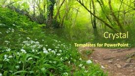  Presentation with garlic - Slide deck with wild-garlic-bed-allium-ursinum background and a tawny brown colored foreground