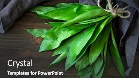  Presentation with green leaves - PPT theme featuring wild-garlic-or-ramsons-green background and a dark gray colored foreground