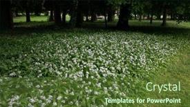  Presentation with garlic - Presentation theme with wild-garlic-perennial-herbaceous-plant background and a  colored foreground