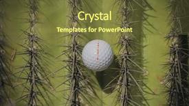  Presentation with saguaro - Audience pleasing presentation consisting of wild golf shot ball caught backdrop and a  colored foreground