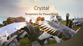  Presentation with law blue sky scales - Slides consisting of wild goose chase on green background and a lemonade colored foreground