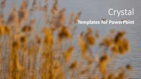  Presentation with czech republic - PPT layouts consisting of wild-goose-lake-musov-southern background and a gray colored foreground