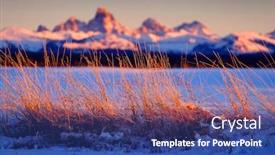 Presentation with weeds - Colorful PPT theme enhanced with wild-grass-or-weeds backdrop and a ocean colored foreground