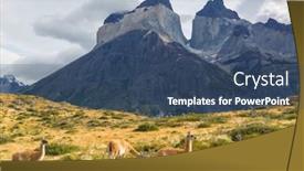  Presentation with lama - Slide set enhanced with wild-guanaco-lama-guanicoe background and a ocean colored foreground