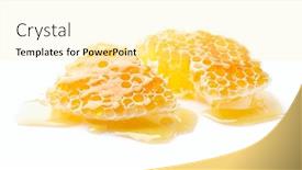  Presentation with honeycomb - Audience pleasing PPT layouts consisting of wild-honeycomb-on-white-background backdrop and a blonde colored foreground