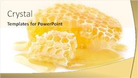  Presentation with honeycomb - Cool new PPT layouts with wild-honeycomb-on-white-background backdrop and a blonde colored foreground