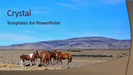  Presentation with argentina revolution - Amazing slides having modern technologies in my hands cheerful involved young woman holding the tablet and standing against black background while expressing involvement and testing the tablet backdrop and a light gray colored foreground