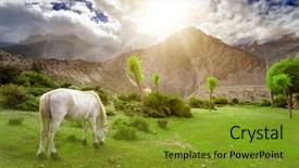  Presentation with wild horses - Cool new PPT theme with wild horses - beautiful landscape in himalayas mountains backdrop and a gold colored foreground
