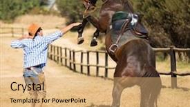  Presentation with wild horse - PPT theme with wild horses - cowboy trying to control his background and a coral colored foreground