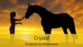  Presentation with wild horse - Presentation theme enhanced with wild horses - girl with a horse background and a gold colored foreground