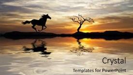  Presentation with mountain - Presentation theme enhanced with wild horses - running down the mountain background and a coral colored foreground