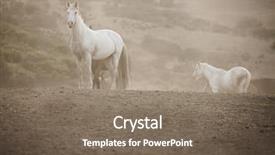  Presentation with wild horses - Amazing theme having wild horses on a misty backdrop and a gray colored foreground