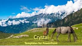  Presentation with wild horses - Theme enhanced with wild horses pasturing on mountain background and a tawny brown colored foreground