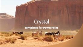  Presentation with cowboy - Presentation having wild horses running background and a violet colored foreground