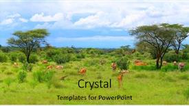  Presentation with kenya - Colorful PPT theme enhanced with close-up of a dalmatian puppy s profile isolated on white backdrop and a light gray colored foreground